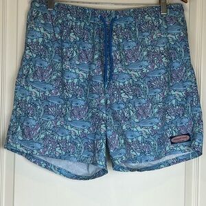 Men's Blue Patterned Swim Trunks